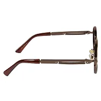 ARZONAI Mens Steampunk Round Sunglasses, Frame Colour:- Brown, Lens Colour- Brown (Medium) ndash; Pack of 1-thumb3