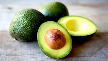 Avocado Fruit Plant Pack Of 1-thumb1