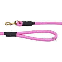 6 Feet Durable Comfort Nylon Dog Leash-thumb3