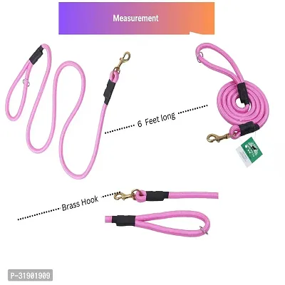 6 Feet Durable Comfort Nylon Dog Leash-thumb3