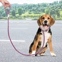 5 Feet Durable Comfort Nylon Dog Leash-thumb4