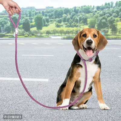 5 Feet Durable Comfort Nylon Dog Leash-thumb5