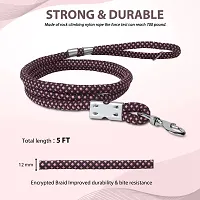 5 Feet Durable Comfort Nylon Dog Leash-thumb4