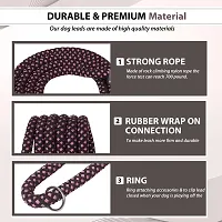 5 Feet Durable Comfort Nylon Dog Leash-thumb3