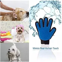 Stylish and Secure Kit For Pets-thumb3