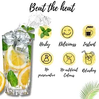 NutriSnacksBox Natural 10 Assorted Summer Drink | Instant Energy Drink, Rehydration drink ,No Preservative-thumb4