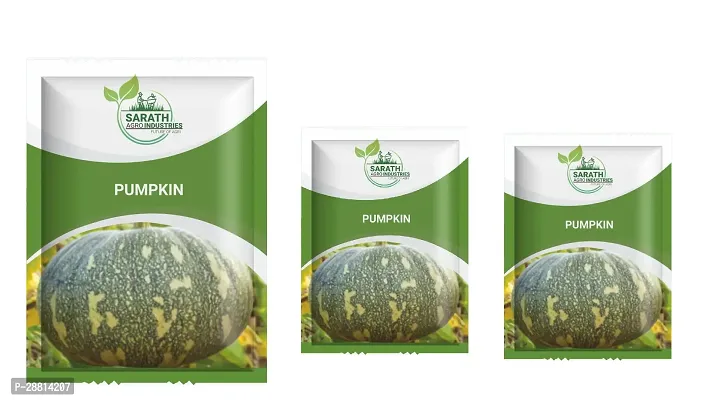 Pumpkin Seeds - 5gm Pack Of 3