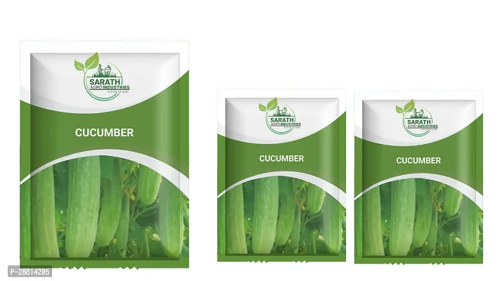 Cucumber Seeds - 5gm Pack Of 3