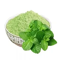 Dhyana Exim Mint Leaves Powder 100Gm Pack- Pudina Powder-thumb2