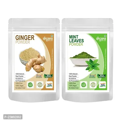 Dhyana Exim Ginger Powder 100Gm,Mint Powder 100Gm -Combo Pack Of 2 Adrak Pudina-thumb0