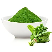 Dhyana Exim Spinach Powder Palakh Palak Powder -200 Gm-thumb2