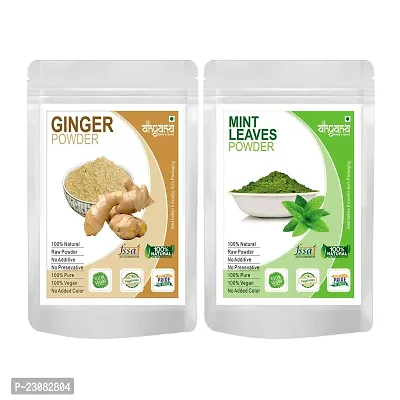Dhyana Exim Ginger Powder 200Gm,Mint Powder 200Gm -Combo Pack Of 2 Adrak Pudina-thumb0