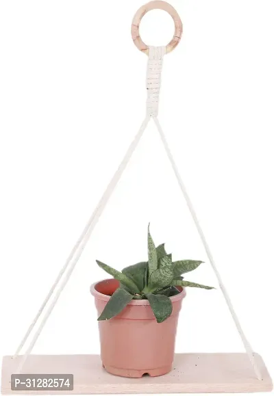 WOODEN HANGING PLANTER 16 inch X 12 inch Cream-thumb0