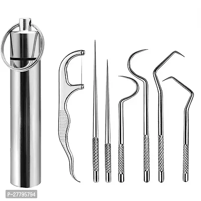 ALL DAY PROVISION 7pcs set tooth pick set for outdoor picnic easy to carry Stainless Steel Toothpicks Are a Must-Have for Outdoor Enthusiasts