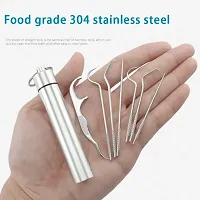 ALL DAY PROVISION 7pcs set tooth pick set for outdoor picnic easy to carry Stainless Steel Toothpicks Are a Must-Have for Outdoor Enthusiasts-thumb3