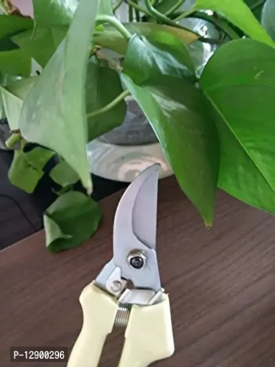 Trendy Home Garden Tools Pruning Shears Scissor Shrub Orchard Landscaped Tree Plants Pruner Scissor Gardening Tools