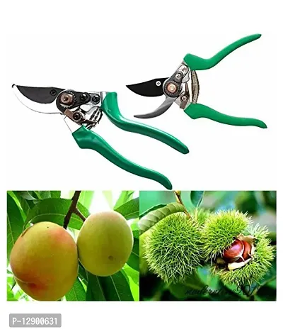 Trendy Green #1 Pruning Shears Snips Garden Scissors Orchard Shears Fruit Pruner Gardening Tool