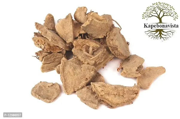 Trendy Chandramula Kapoor Kachri Bhui Champa Chandramoolika Sand Ginger Sugandhamula Gandha Sunthi Lesser Galangal Kaempferia Galanga 100G