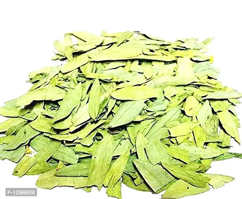 Trendy Senna Leaf Sonamukhi Patte Senna Alexandrina Cassia Augustifolia Senna 100 Gram