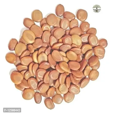 Trendy Siris Seed Siras Seed Albizia Lebbeck Seed Siras Beej 100Gm-thumb0