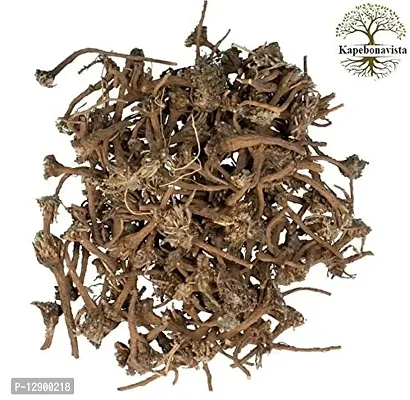 Trendy Akarkara Dried Root Anacyclus Pyrethrum Pellitory 100Gms From Own Farm-thumb0