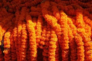 WDecor Orange Marigold Artificial Flower 60 inch, Pack of 5, Garlands Orange Marigold Artificial Flower 60 inch, Pack of 5, Garlands-thumb3