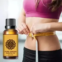 Ginger Essential Oil | Ginger Oil Fat Loss | Beauty Fat Burner Fat loss fat go slimming weight loss body fitness oil Shape Up Slimming Oil For Stomach, Hips  Thigh-thumb4