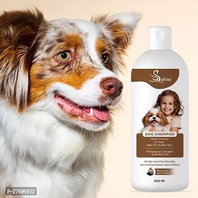 Dog Shampoo | Ditch to Itch  Dog Anti Dandruff Shampoo - 200ml | Dog Shampoo for Pomeranian, Shih tzu Puppy, German Shepherd, Labrador  Golden Retriever, Dogs Shampoo- Pack of 1