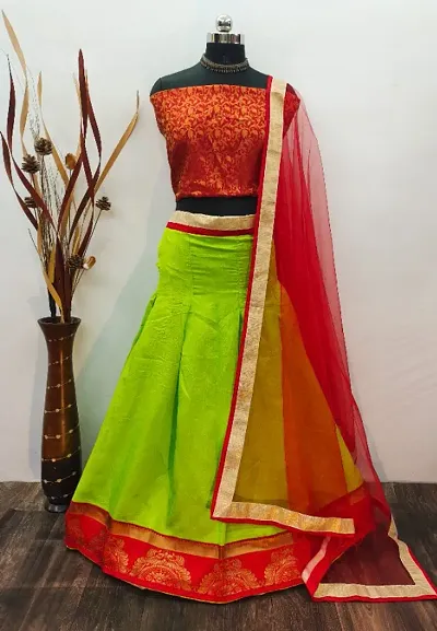 Women's Traditional Lehenga Choli