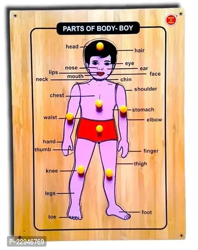 Parts Of Body Boy Name And Picture-thumb0