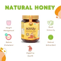 Pure Raw Natural Honey 500g-thumb2