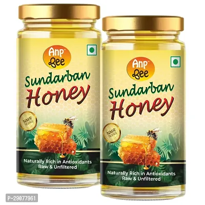 Pure Organic Honey, 500gm Combo