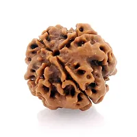 Certified Original Chah Mukhi 6 Faced Simple Natural Nepali Rudraksha Pendant Meditation Astrology Bead Locket with Thread For Adults Unisex-thumb2