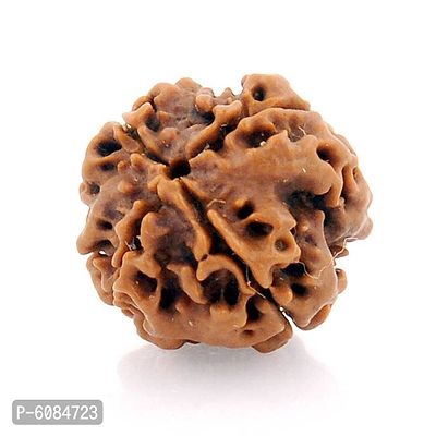 Certified Original Chah Mukhi 6 Faced Simple Natural Nepali Rudraksha Pendant Meditation Astrology Bead Locket with Thread For Adults Unisex-thumb3