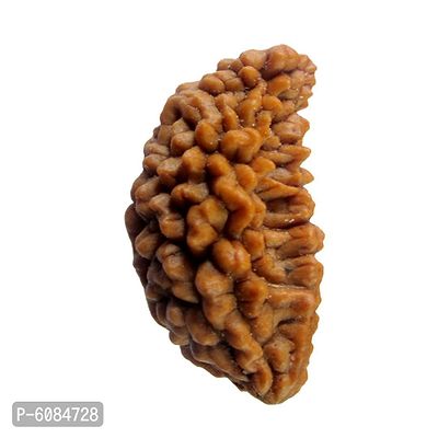 Original Lab Certified One Mukhi 1 Face Nepali Rudraksha Beads Spiritual Healing Loose Seed Making Jewellery For Men and Women-thumb3