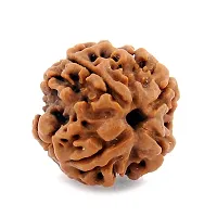 Certified Original Chah Mukhi 6 Faced Simple Natural Nepali Rudraksha Pendant Meditation Astrology Bead Locket with Thread For Adults Unisex-thumb1
