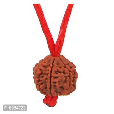 Certified Original Chah Mukhi 6 Faced Simple Natural Nepali Rudraksha Pendant Meditation Astrology Bead Locket with Thread For Adults Unisex