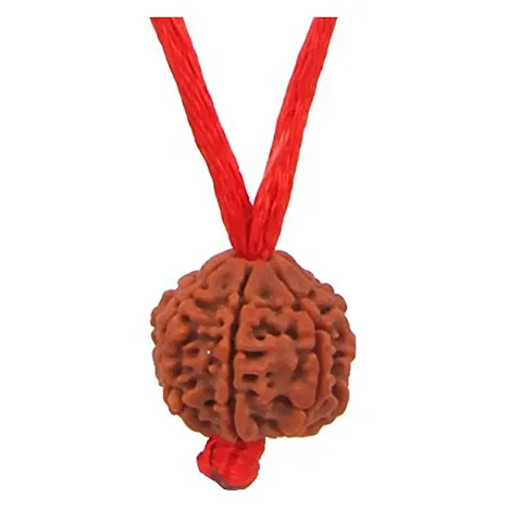 Certified Chah Mukhi Faced Simple Nepali Rudraksha Pendant Meditation Astrology Bead Locket with Thread For Adults Unisex