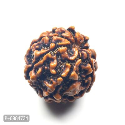 Original Lab Certified Seven Mukhi 7 Face Nepali Rudraksha Beads Prayer Spiritual Healing Loose Seed Making Jewellery For Men and Women-thumb2