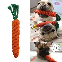 Dog Durable Cotton Chew Rope Slipper Dog Toys for Teething Playing Fun Toy + Gums Massage + Stress Relief Chew Rope Toy + Rubber Flavoured Chew Bone Suitable Small and Medium Puppies Pack of 4-thumb4