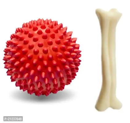Rubber Spiked Ball Dog Chew Toy + Free Nylon Bone, Puppy Teething Toy, 3 Inches - Pack of 2