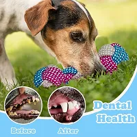 Chew Toys for Dogs, Teething Cotton Rope Toys for dog (Free Toothbrush) Set of 7 Cotton Chew Toy, Training Aid For Dog-thumb1