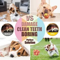 Chew Toys for Dogs, Teething Cotton Rope Toys for dog (Free Toothbrush) Set of 7 Cotton Chew Toy, Training Aid For Dog-thumb2