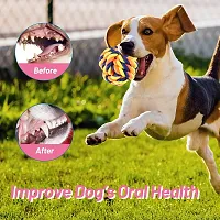Chew Toys for Dogs, Teething Cotton Rope Toys for dog (Free Toothbrush) Set of 7 Cotton Chew Toy, Training Aid For Dog-thumb4
