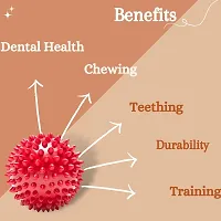 Rubber Spiked Ball Dog Chew Toy + Free Nylon Bone, Puppy Teething Toy, 3 Inches - Pack of 2-thumb3