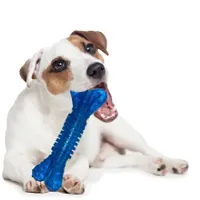 Dog Rope Toys, Chew Toys for Dog, Bone for Dog, Cotton Rope Toys and Dog Cotton Ball for Small Medium Large Breeds, Teething and Chewing - Pack of 6-thumb3