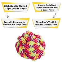 Dog Rope Toy, Interactive Pet Chew Toys Set, Washable Braided Cotton Teeth Cleaning Chewers for Puppies, Small, Medium and Large Dogs Durable Teething Ropes 6 in 1 Dog Combo (Color May Vary) Cotton Ch-thumb1