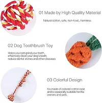 Chew Toys for Puppies Teething Small Medium Dogs 5 Pack Dog Teeth Cleaning Chew Toys/Puppy Chew Toys/Puppy Teething Toys Including Puppy Chews  Rope Dog Toys-thumb3
