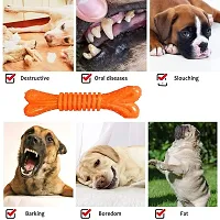 Toys for Puppies  Small Dogs Toys Hard Spike Bone Toy + Gums Cleaner Dumbbell Rope Toy + Rubber Chew Bone Toy Pack of 4-thumb4