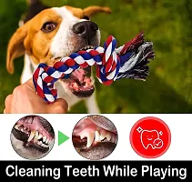 New Dog Chew Toys for Puppies  Small Medium Dogs, Puppy Chew Toys for Teething, Interactive Dog Rope Toys for Boredom, Rubber Dog Chew Bone - Color May Vary-thumb1